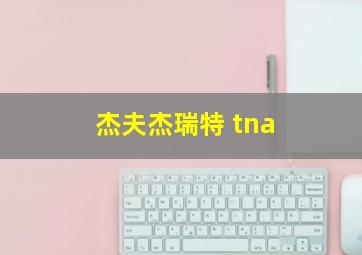 杰夫杰瑞特 tna